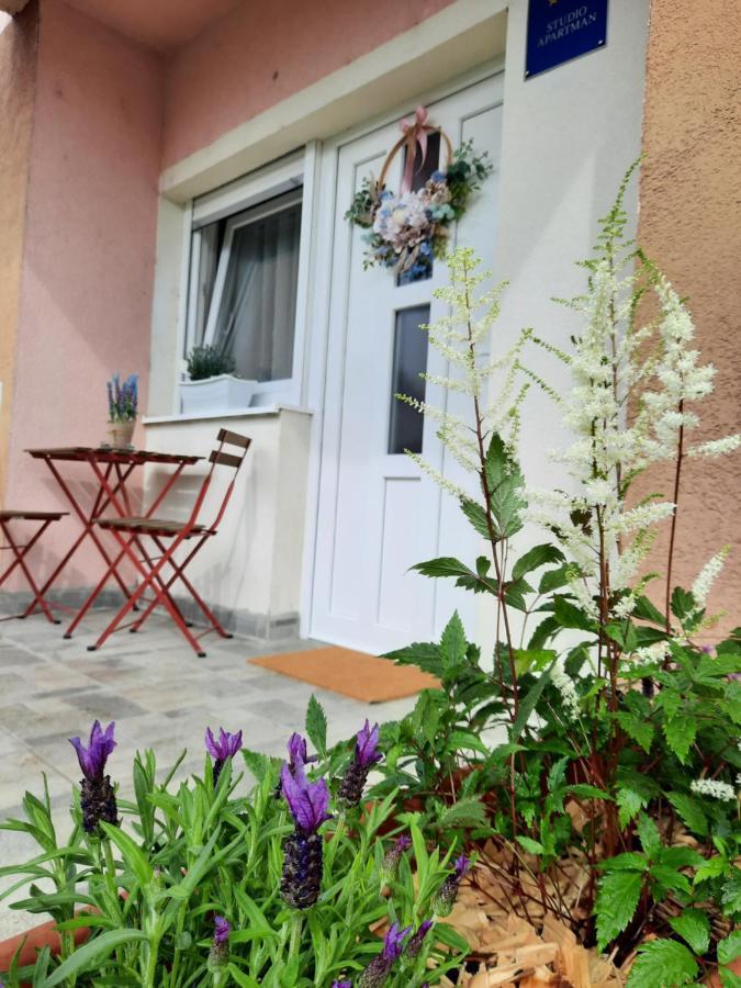Apartmani Venium Krizevci Ngoại thất bức ảnh