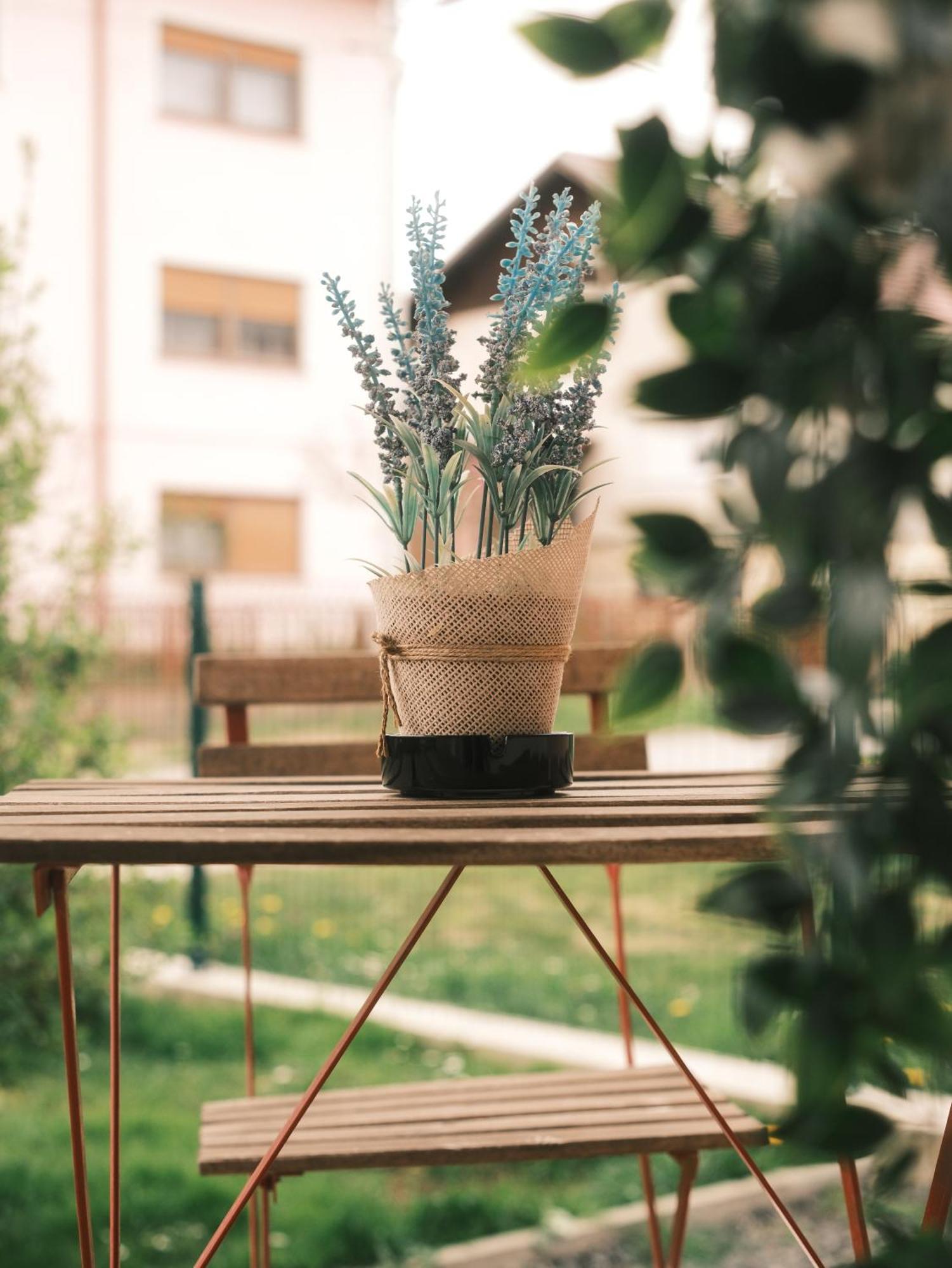Apartmani Venium Krizevci Ngoại thất bức ảnh